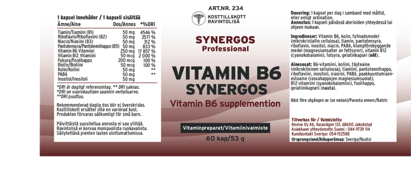 B6 Pyridoxin Synergos