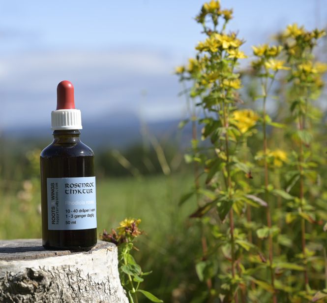 Hovedbilde Rosenrot tinctur fra Valdres 50ml